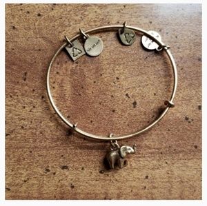 Alex & Ani bracelet